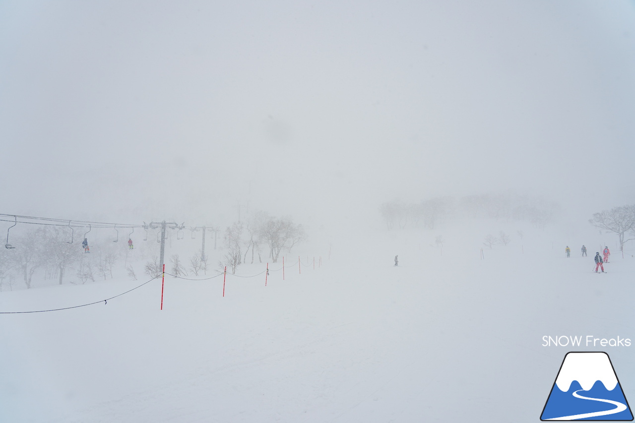 ニセコビレッジスキーリゾート｜気温 -18℃…。最強寒波到来で視界不良なほどのパウダースノーが降り積もる！